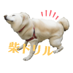 Hana_20220519145719