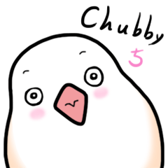 Chubby 5 Good friends+ new year