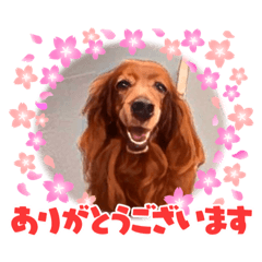 Takuya_20220519175015