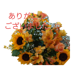 chisa_20220519174916