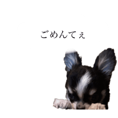 risa_20220519220256