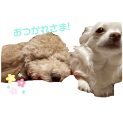 hana_20220519225535