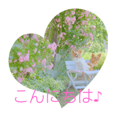 yukari_20220519215409