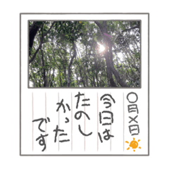 Tomomi_20220519221921