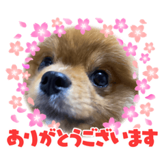 yuka_20220520000759