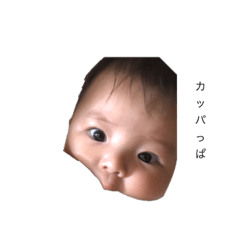 yukari_20220520000932