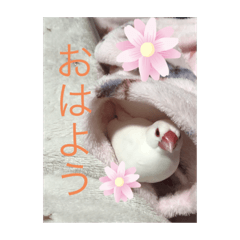 yuka_20220519193525