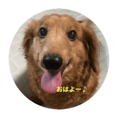 tantan_20220519220836