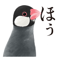 rice bird speaking an old-fashioned word