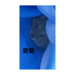 棒滴貼圖