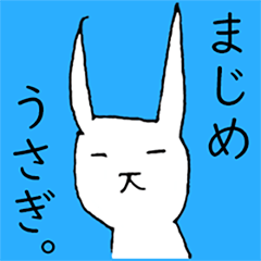Serious Japanese Rabbit.