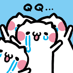 喵喵喵!