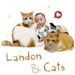 Landon&Cats