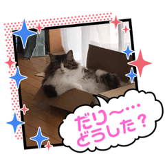 matsu_20220520141219