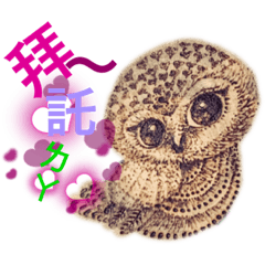 Happy Owlet