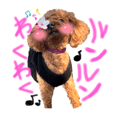 可愛いくうちゃんスタンプ