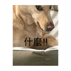 Jin_160