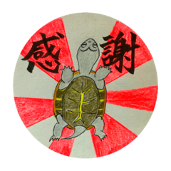 susume! kusagamesan.