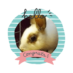 sayuri_20220520170707