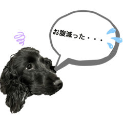 kaori_20220520191120