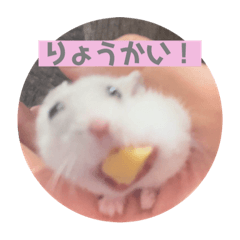 yukari_20220520213530