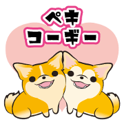 Pekicorgi