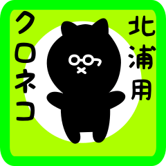 black cat sticker for kitaura