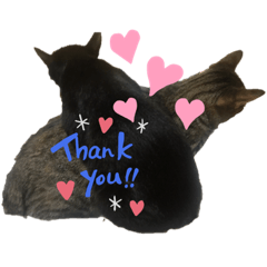 yukari_20220520221100