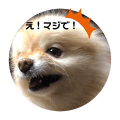 matsu_20220521002415