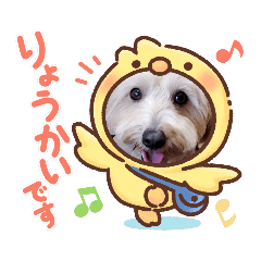 kuu_20220520202635