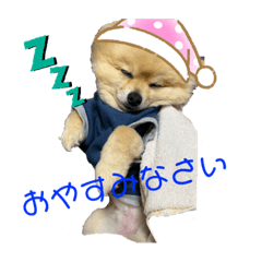 ai_20220520223220