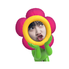 調皮芸
