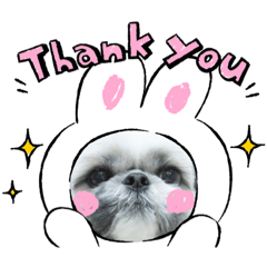 YUMU_20220521103646