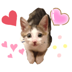 Tomomi_20220521044145