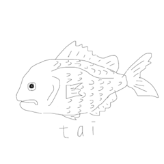 C_20220521065940