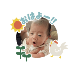 pyokotanboy