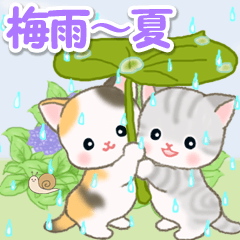 Cute baby cats in the rainy season