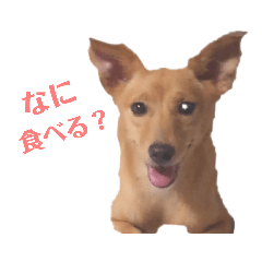 hana_20220521003900