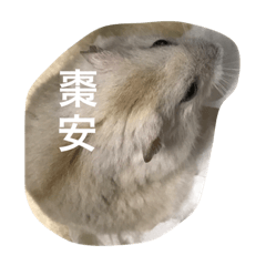 賴珍珠の可愛貼圖～