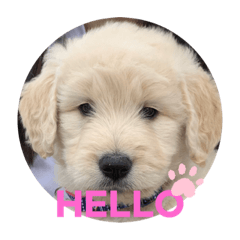 KATORIn_20220521150332