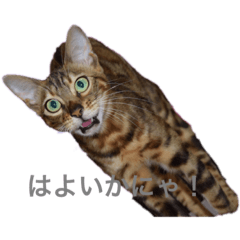 eri0507-20220521155244