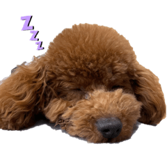 arisa_20220521201121