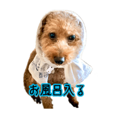 achi_20220521162132