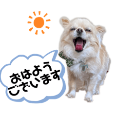 nozomi_20220521155930