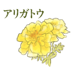 水彩の黄色い花メッセージスタンプ