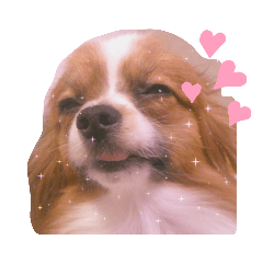 Gippy_20220522002846