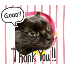 saori_20220522121843