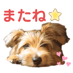 HANA_20220522153950