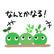 Mr.moss boy
