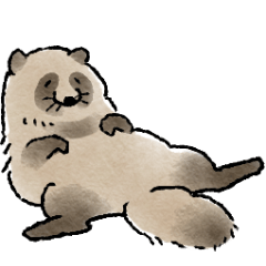 Raccoon dogs sticker